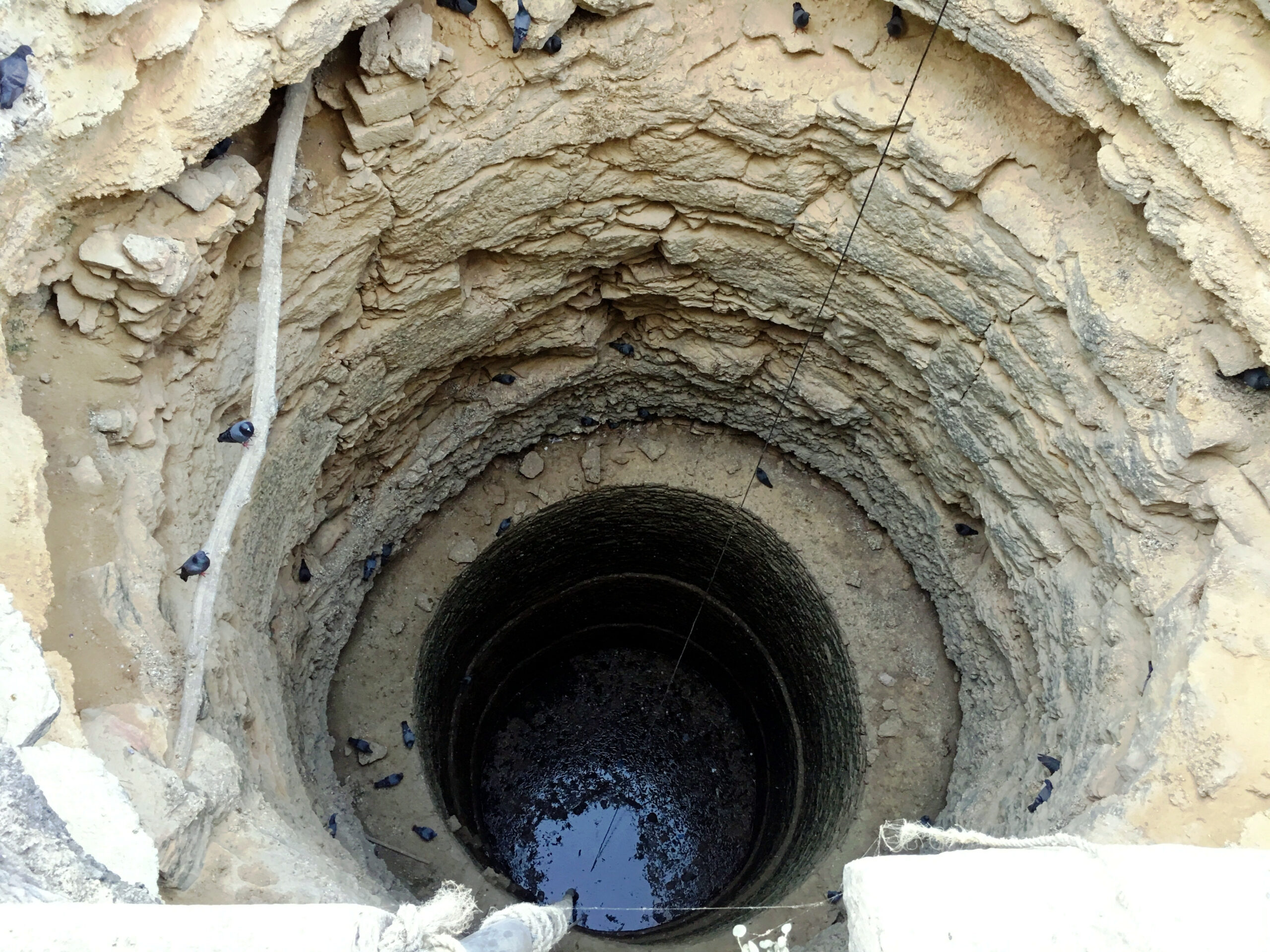 Understanding Sewage Systems: Components, Maintenance Tips, and Professional Services